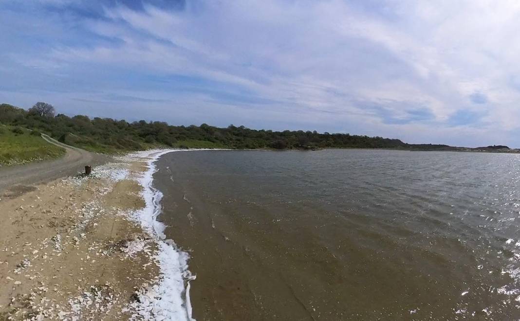 Çanakkale’de korkutan manzara köşe bucak her yeri beyaz köpük sardı 1